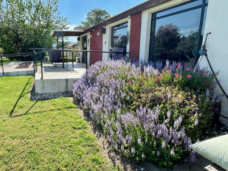 מלון מטיילים ארץ דפנה