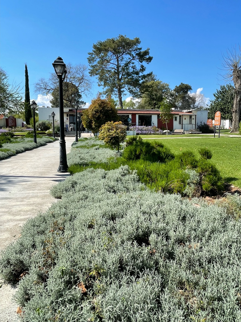 מלון מטיילים ארץ דפנה