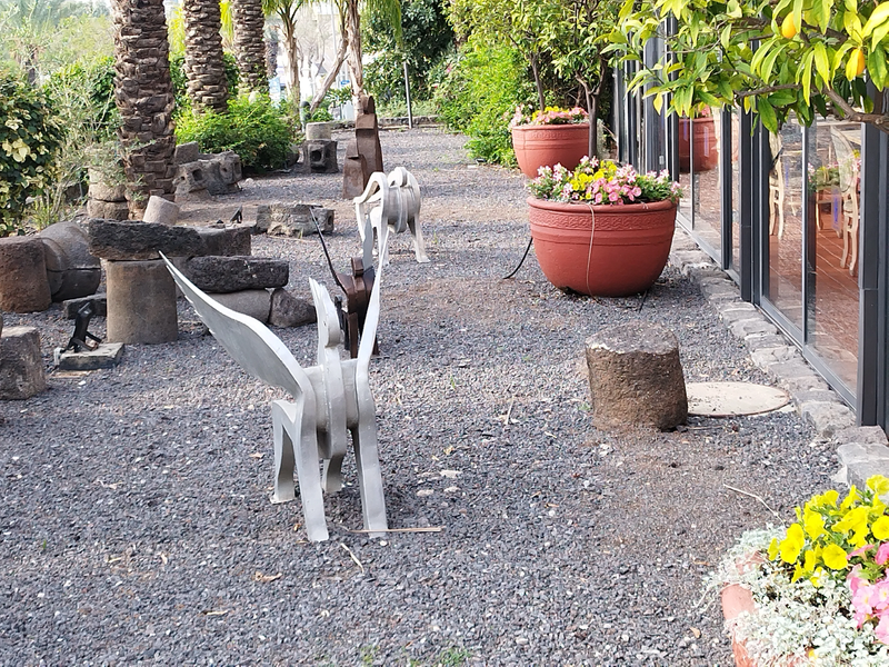 המלון הסקוטי טבריה - מלון ספא יוקרתי בצפון