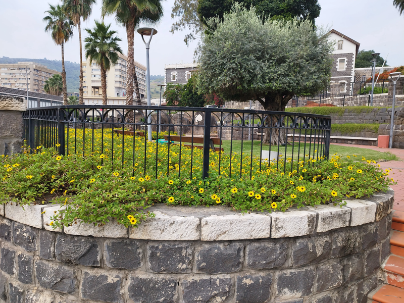 המלון הסקוטי טבריה - מלון ספא יוקרתי בצפון