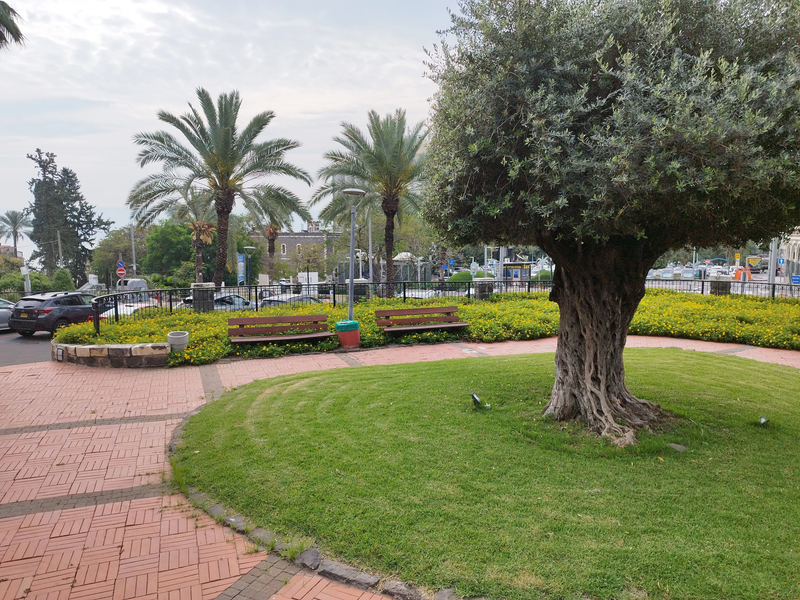 המלון הסקוטי טבריה - מלון ספא יוקרתי בצפון