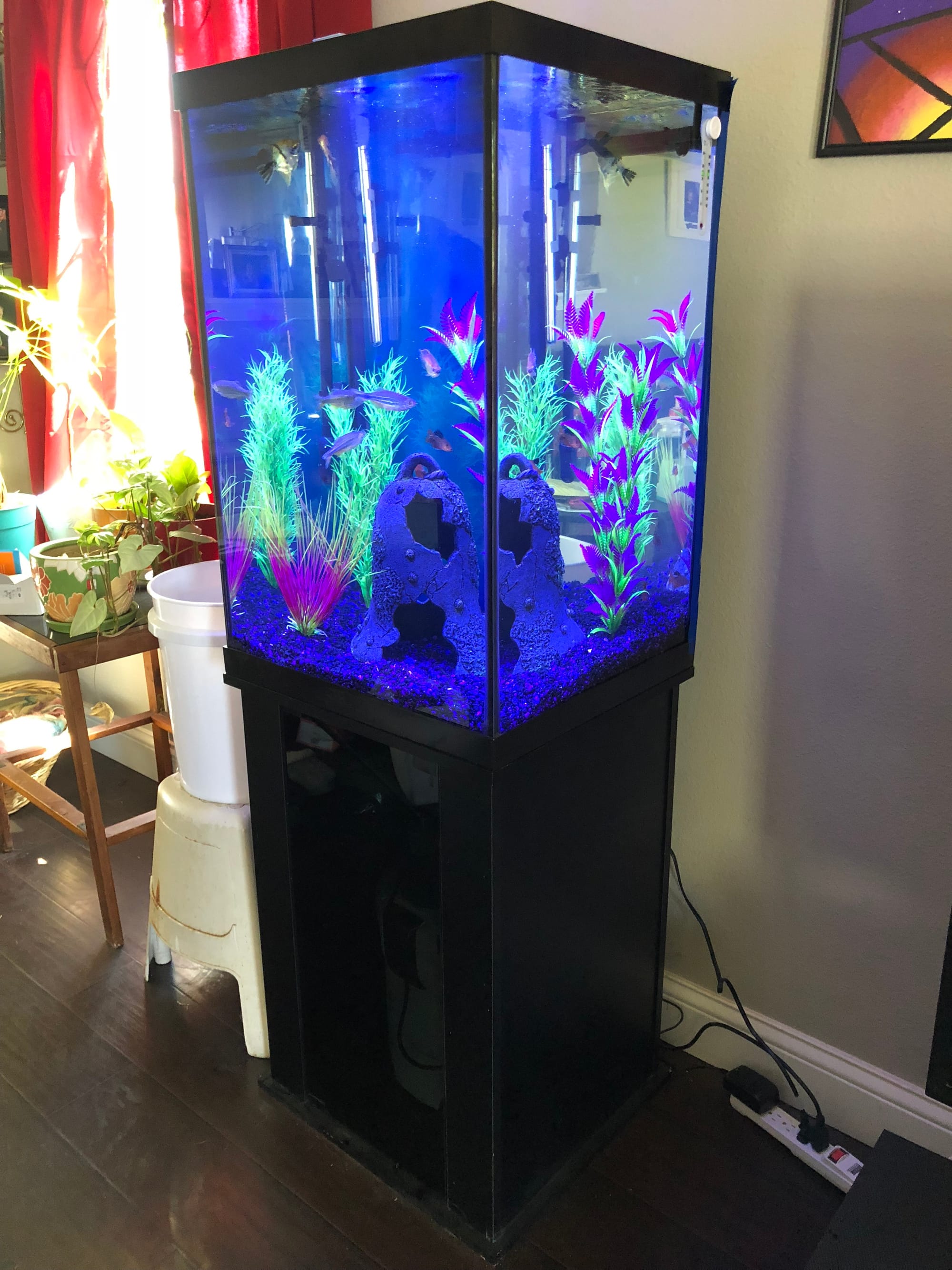 47 Gallon Column Aquarium