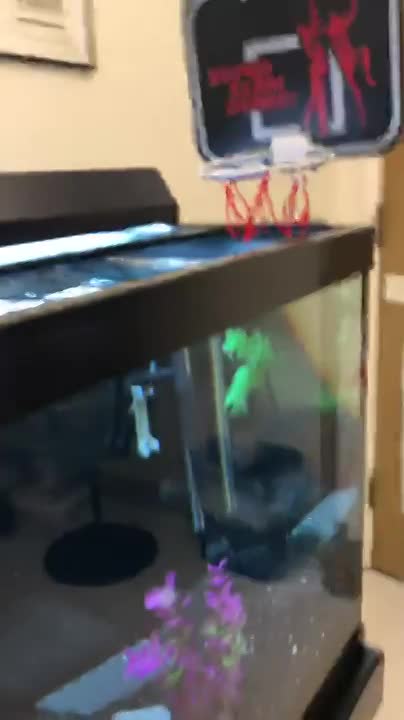 Oscar