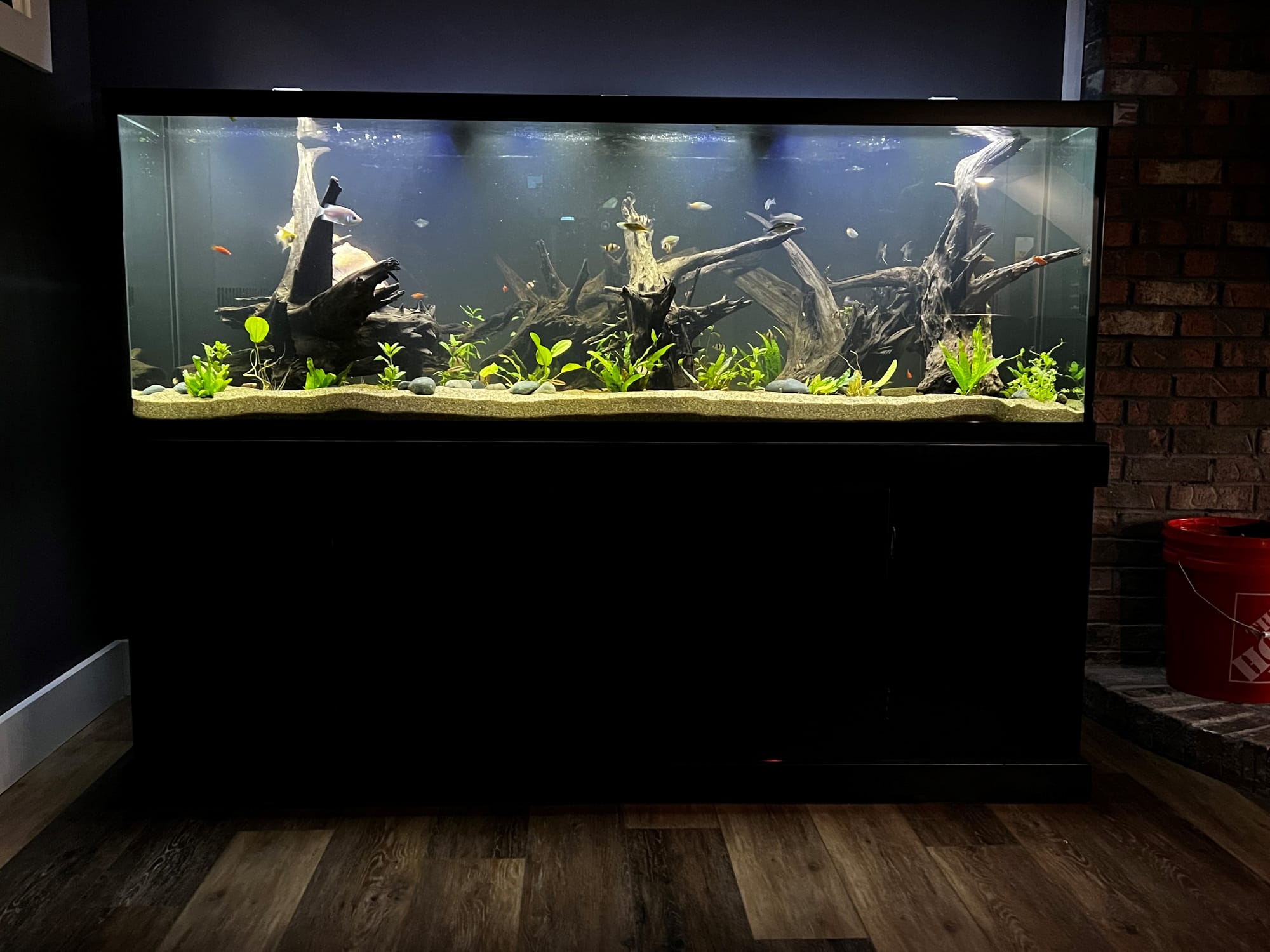 180 Gallon Aquarium Freshwater