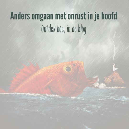 Anders omgaan met onrust