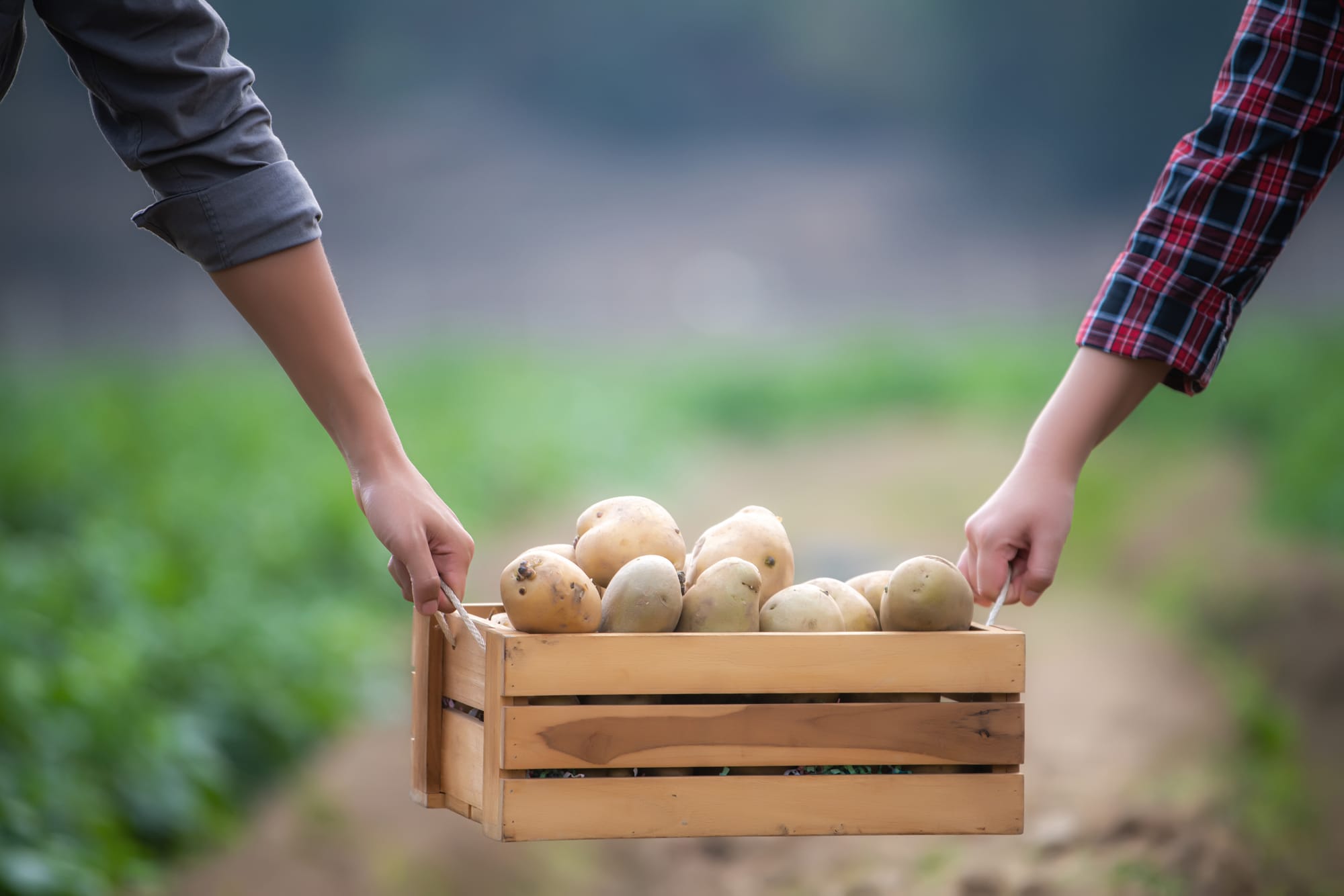 Wat hebben God en een aardappel gemeen?