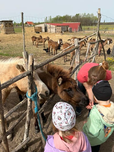 OVIS, SULIS FARMLÁTOGATÁS
