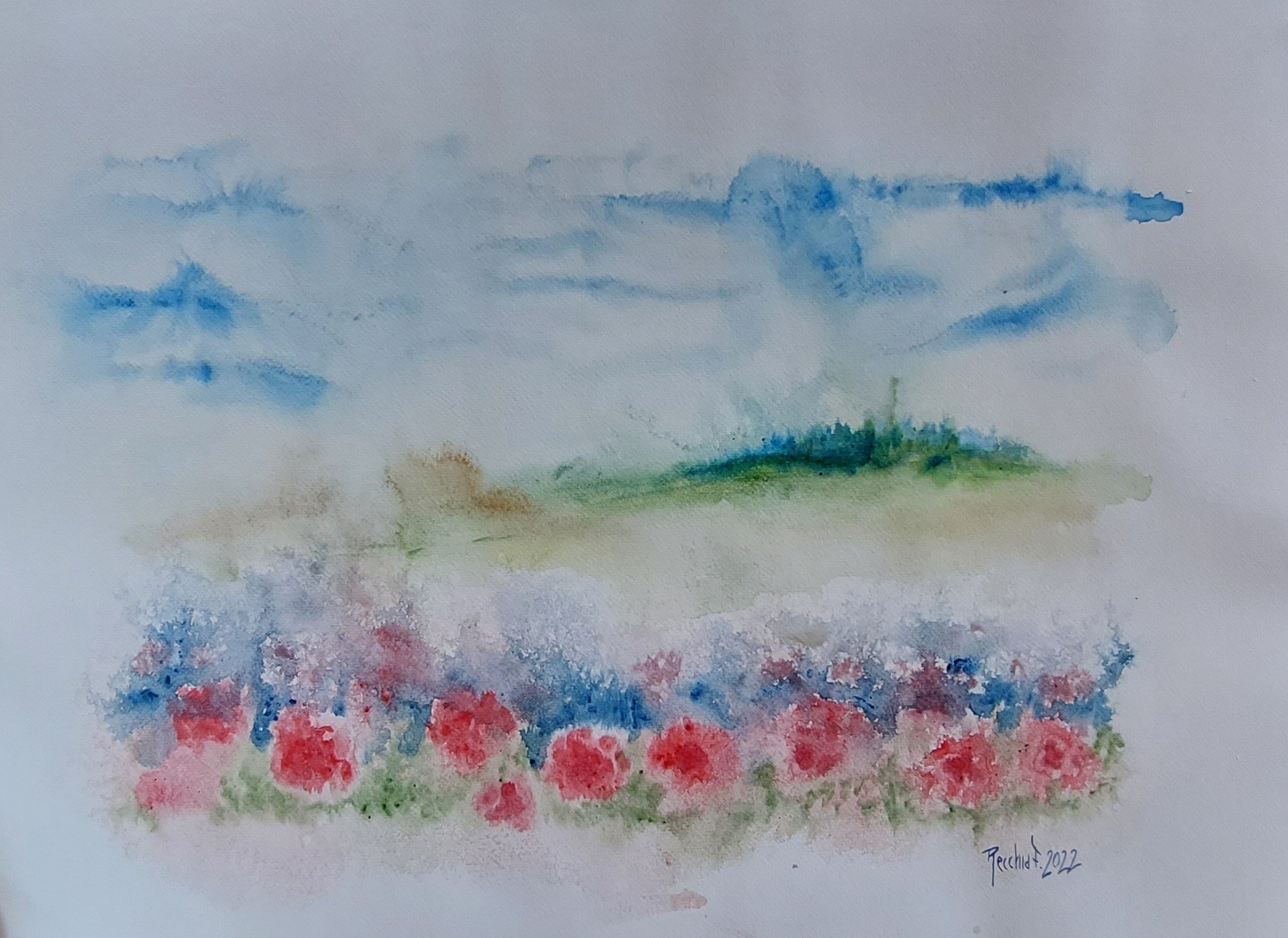 fiori nel prato