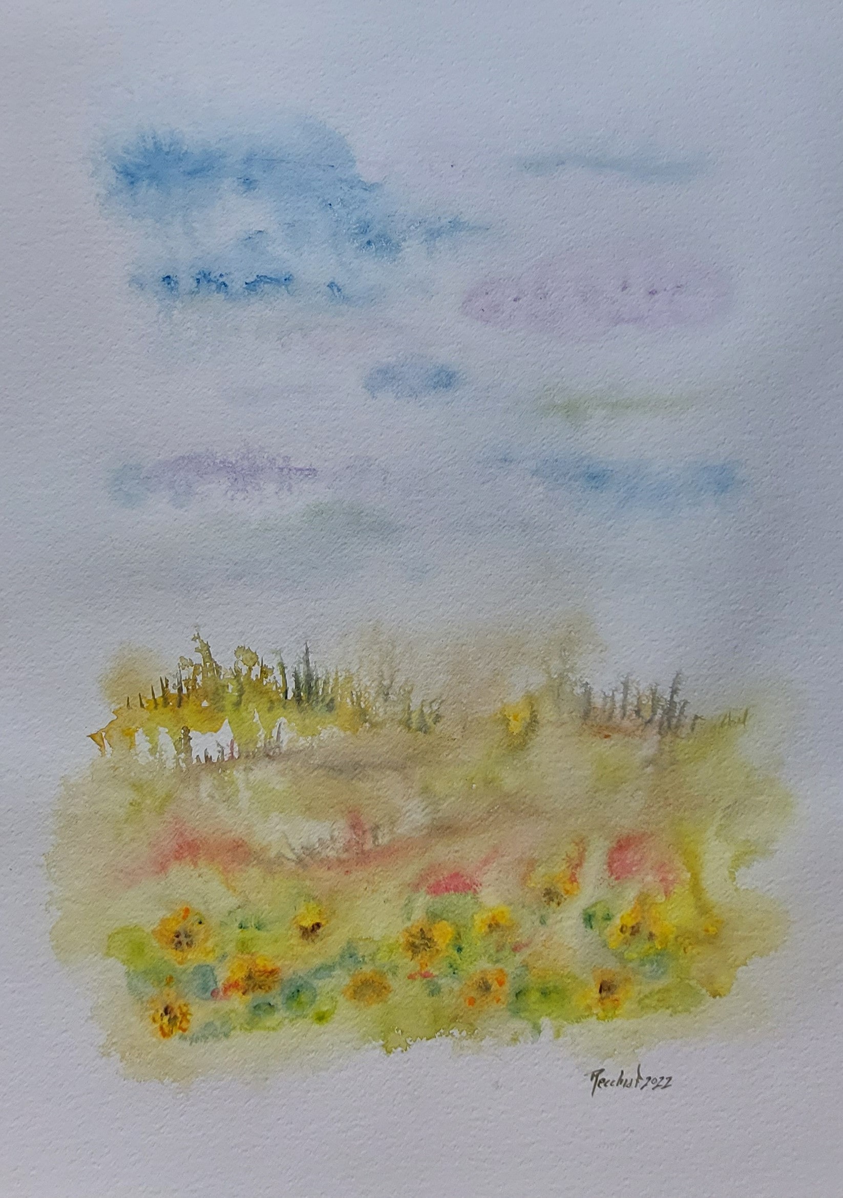 girasoli