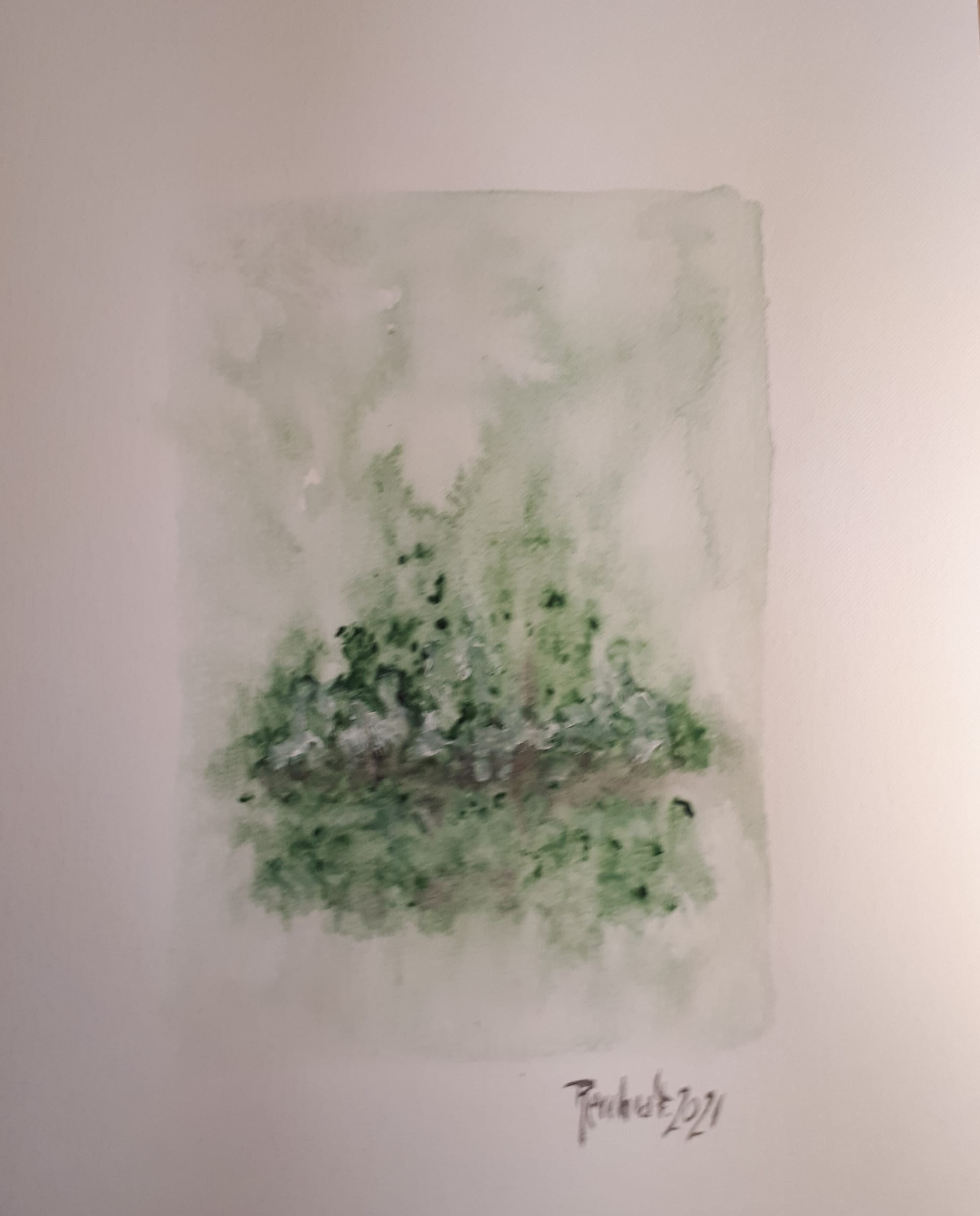 inverno verde