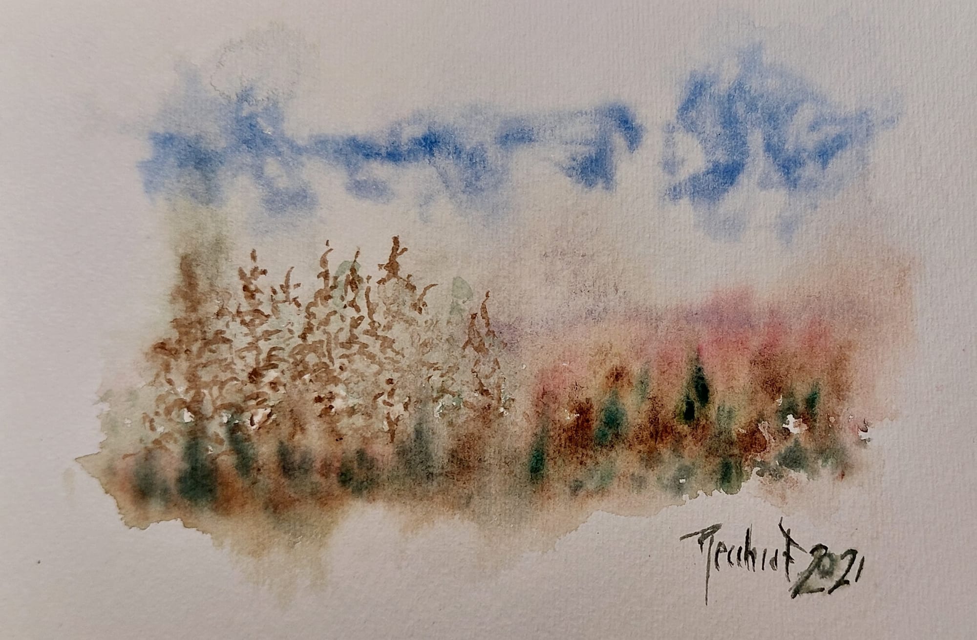 paesaggio