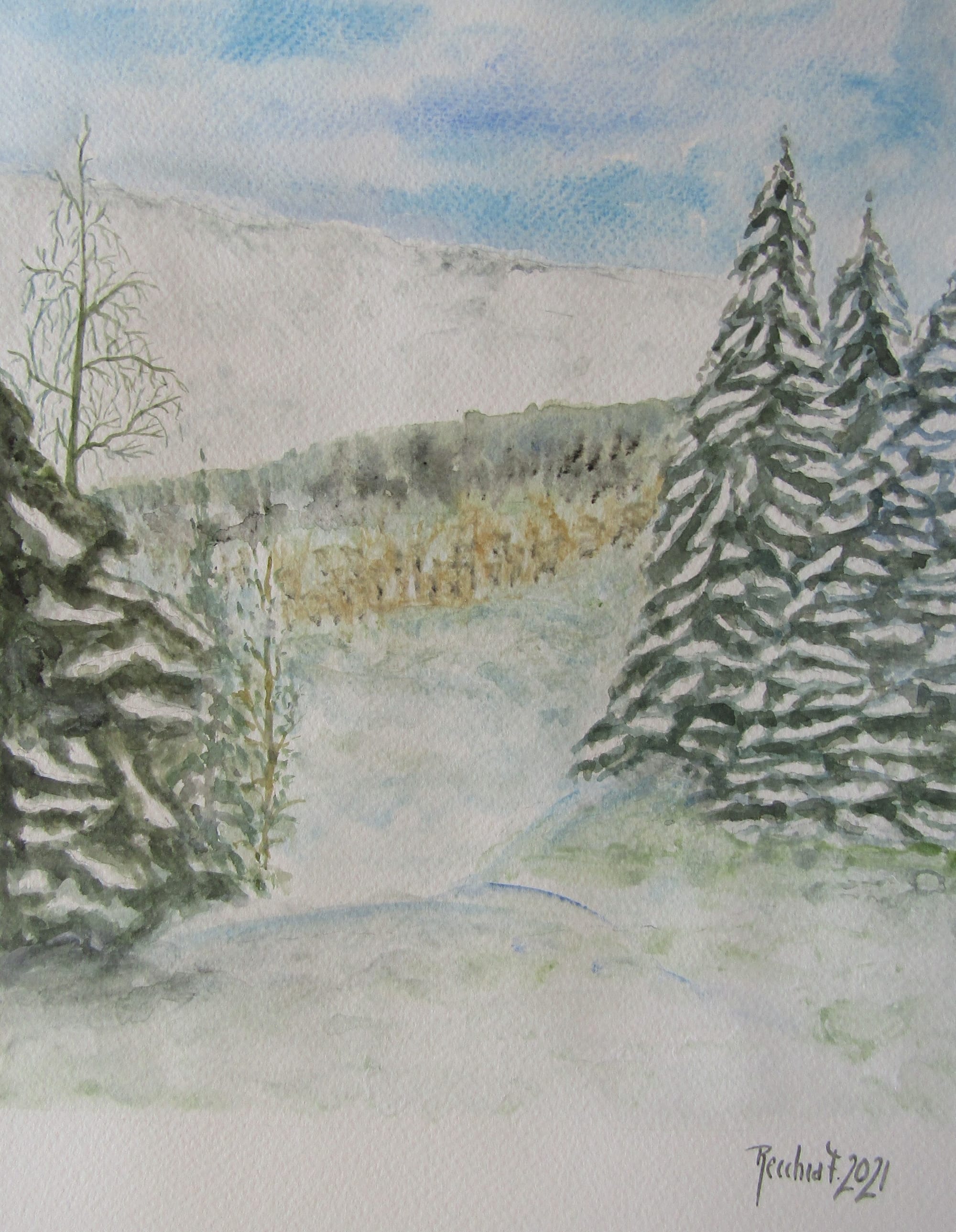 alberi d'inverno