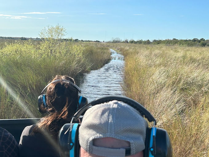 Alligator Tours in Orlando