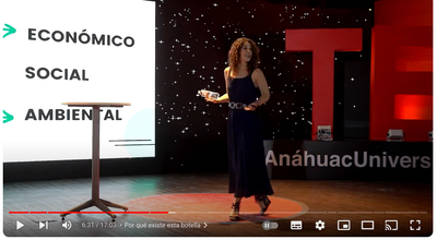 ¿Cómo hacer la sustentabilidad negocio? TEDx