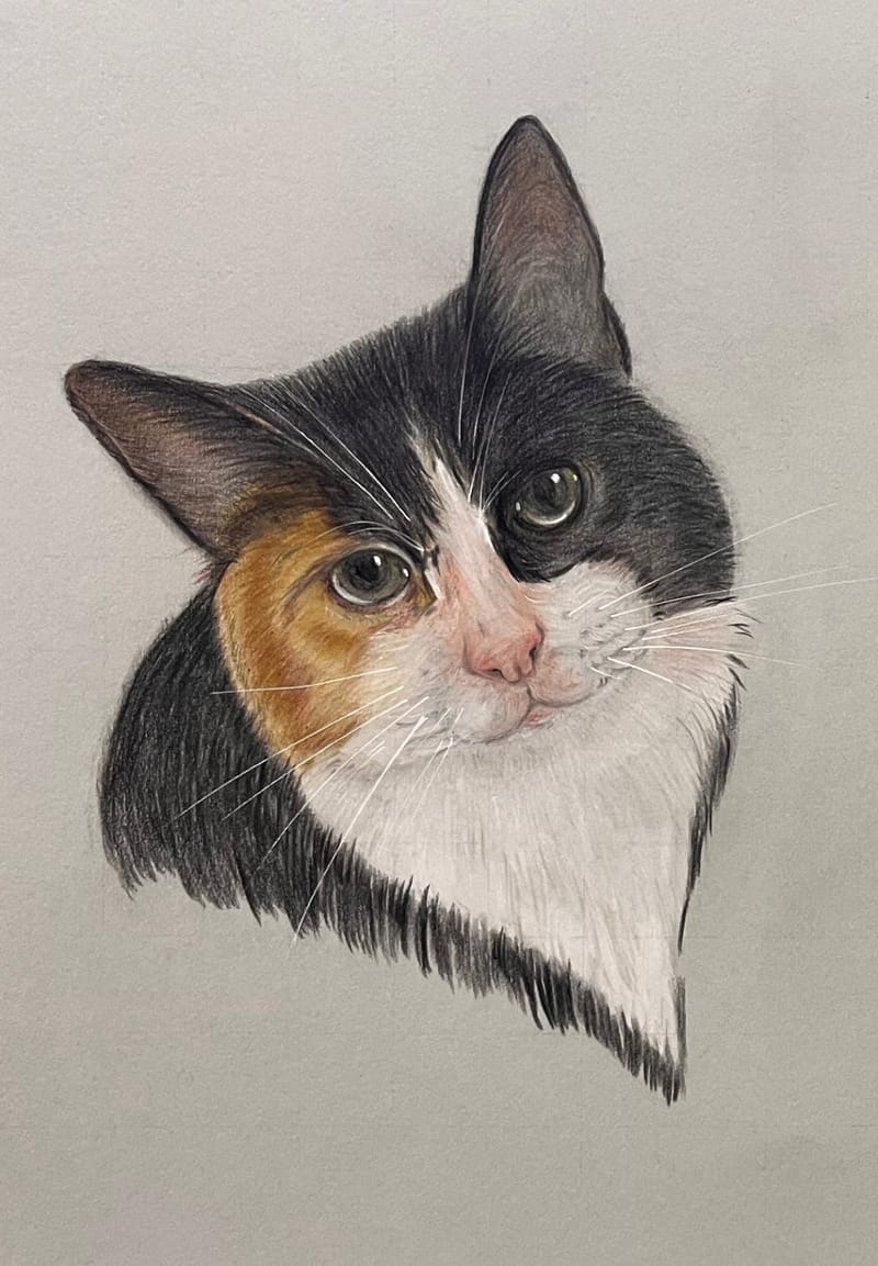 Pet Memorial Artwork