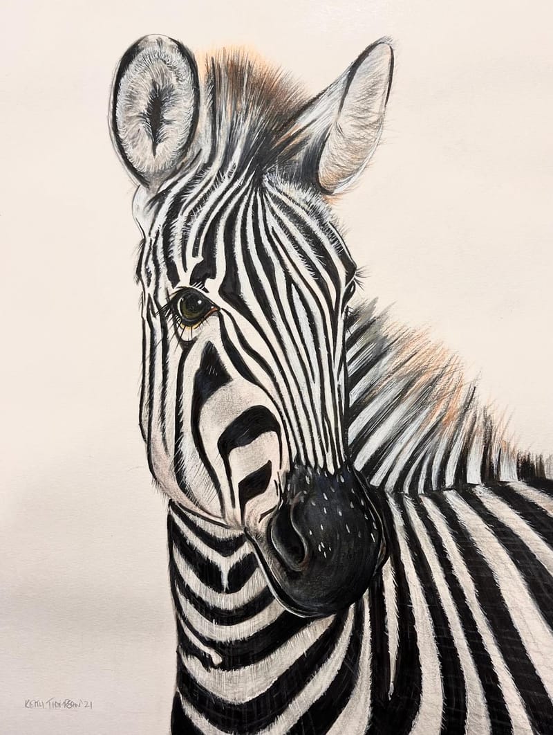 Wildlife Art Commissions