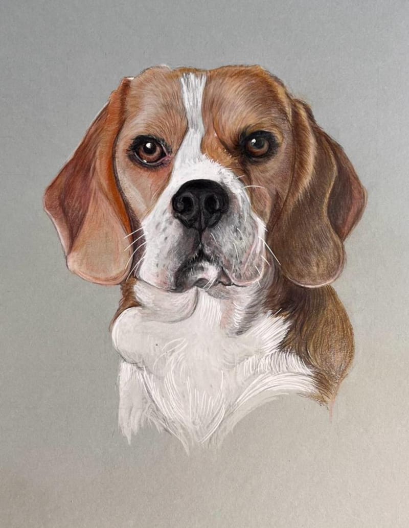 Custom Pet Portraits