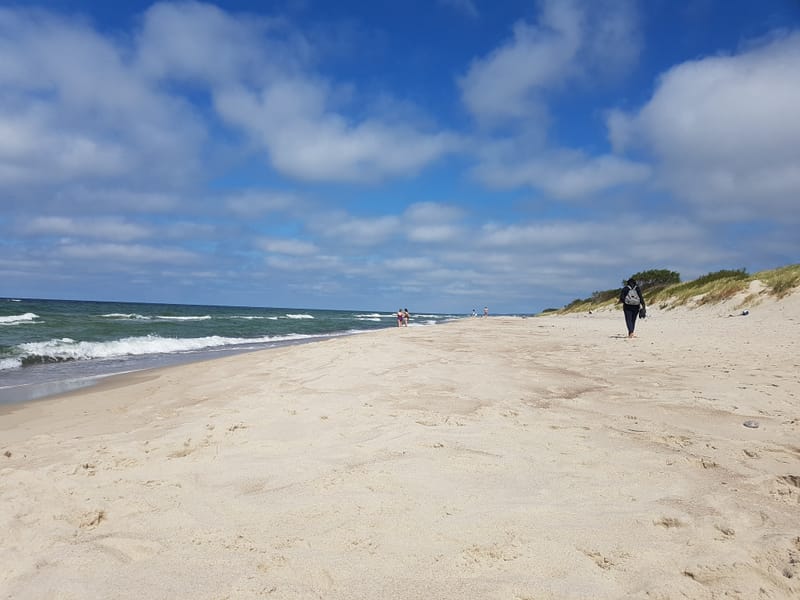 Калининград и Куршская коса за 3 дня. Июль 2019