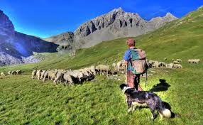 Centro di documentazione sul pastoralismo mediterraneo