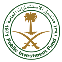 صندوق الإستثمارات العامة صندوق الإستثمارات العامة