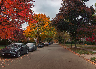 neighborhoodinfo image