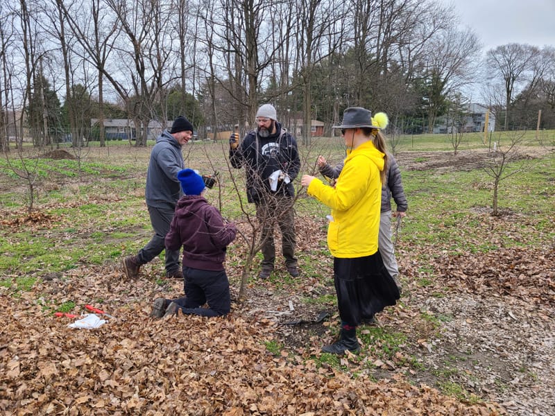 Welcoming Volunteers to Gardening