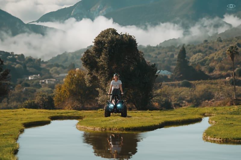 סושיאל מדיה