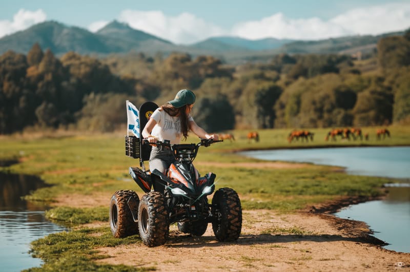 סושיאל מדיה