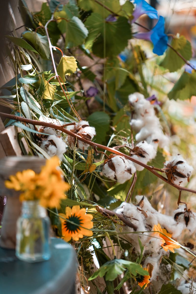 פסטיבל רשפון