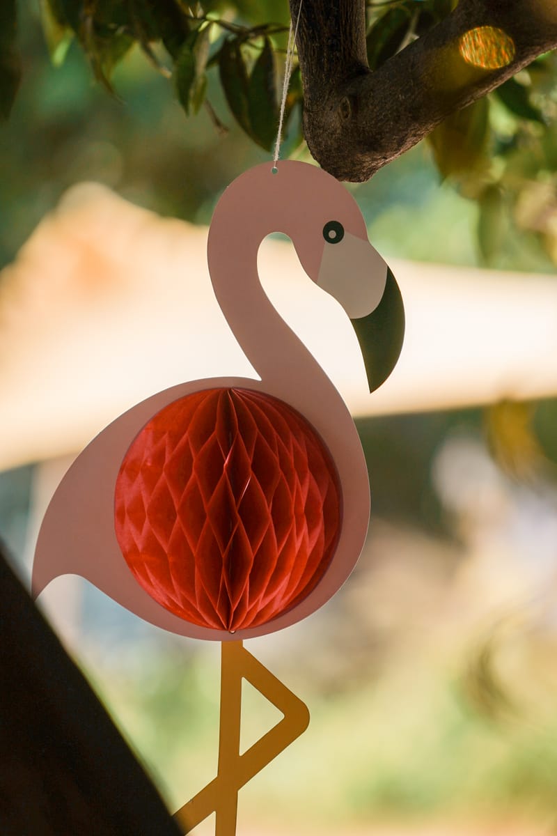 פסטיבל רשפון