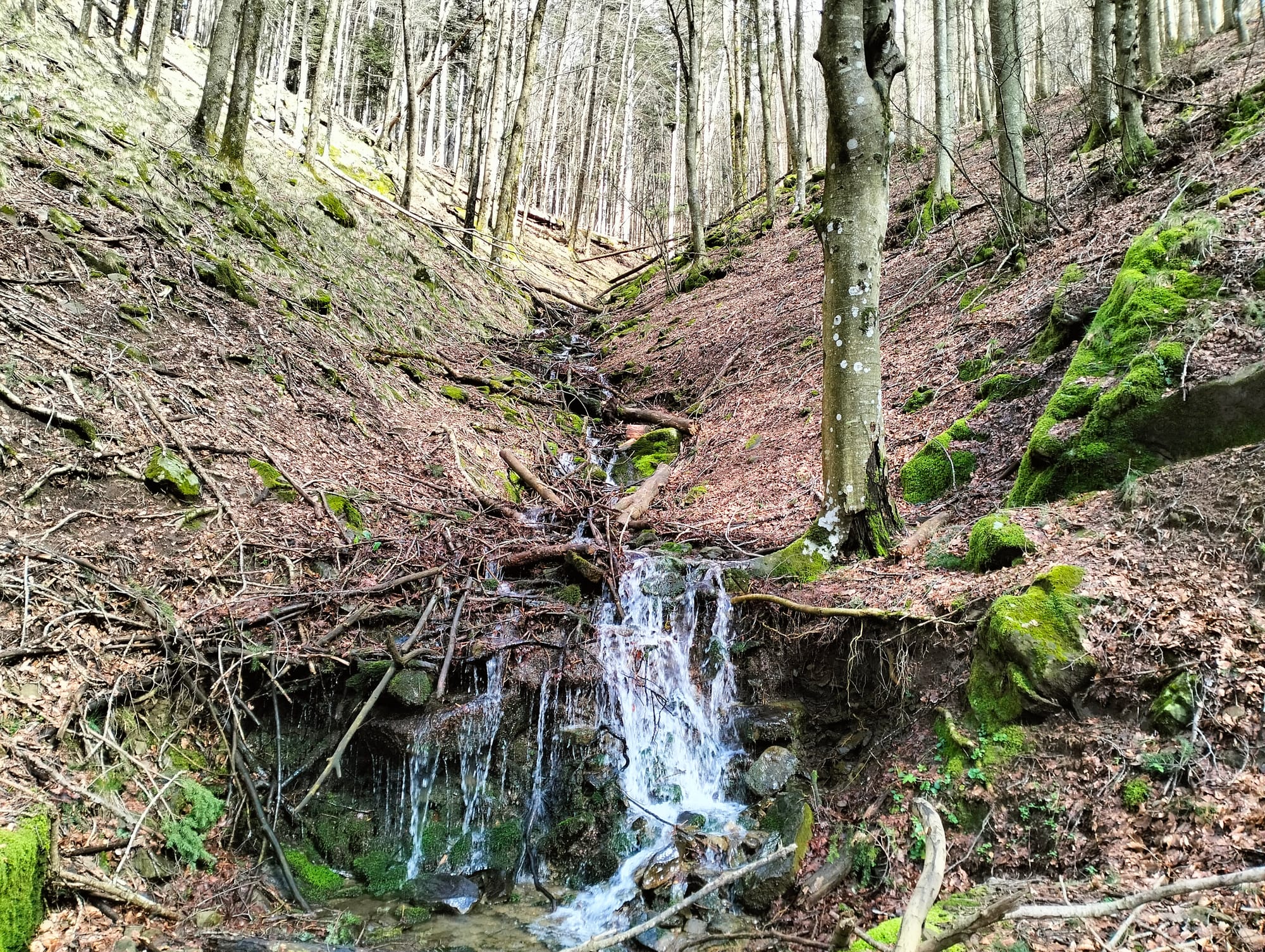 Presentazione Trek Spedaletto Appennino Pistoiese