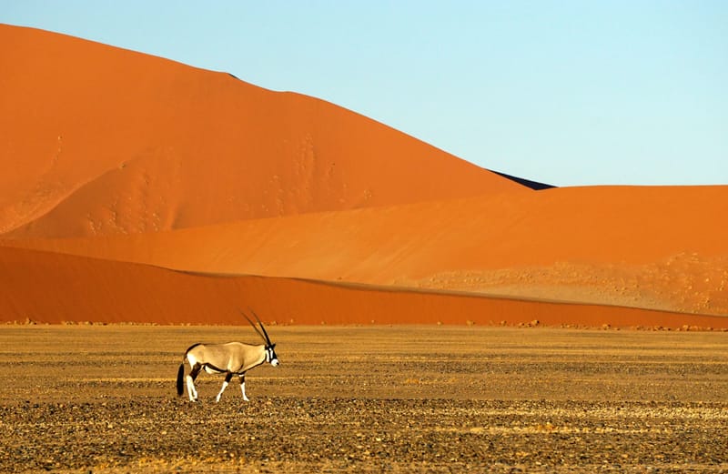 الجغرافيا في دولة