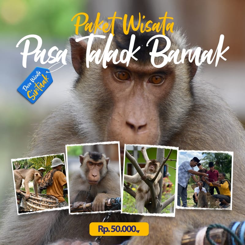 Paket Wisata Pasa Talaok Baruak