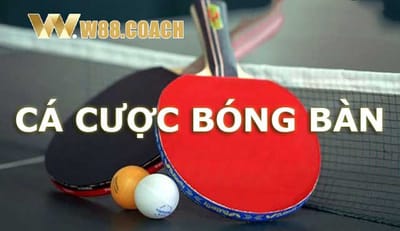 Tại W88 Coach: Cá Cược Bóng Bàn Với Tỷ Lệ Thắng Cao
