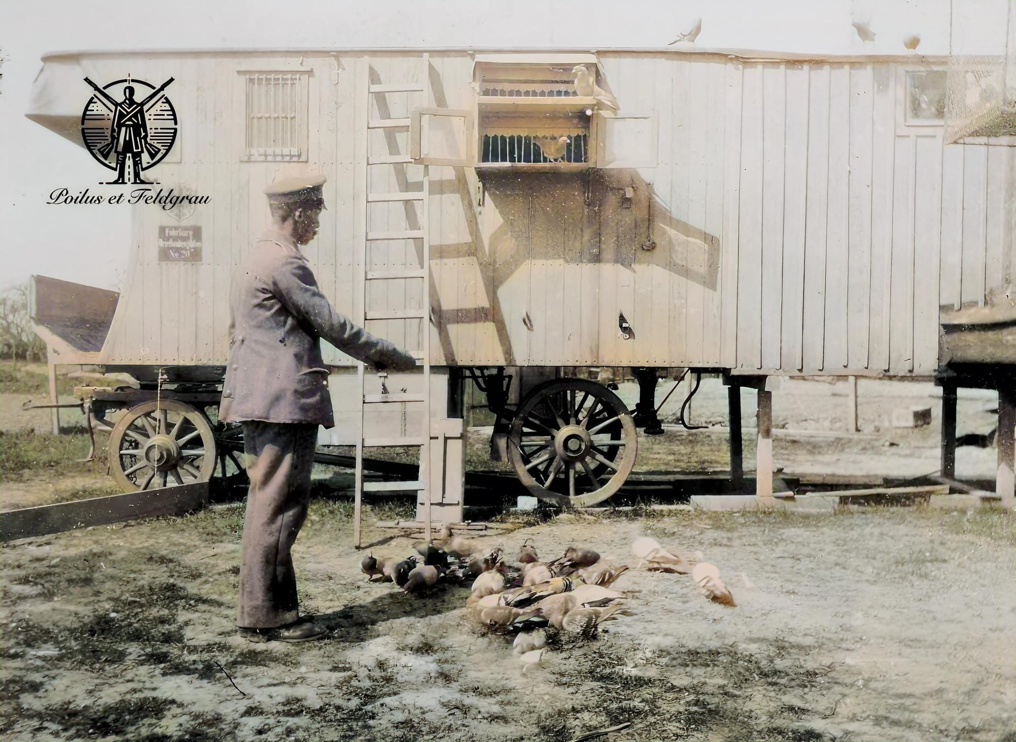 Station de relais de pigeons-voyageurs