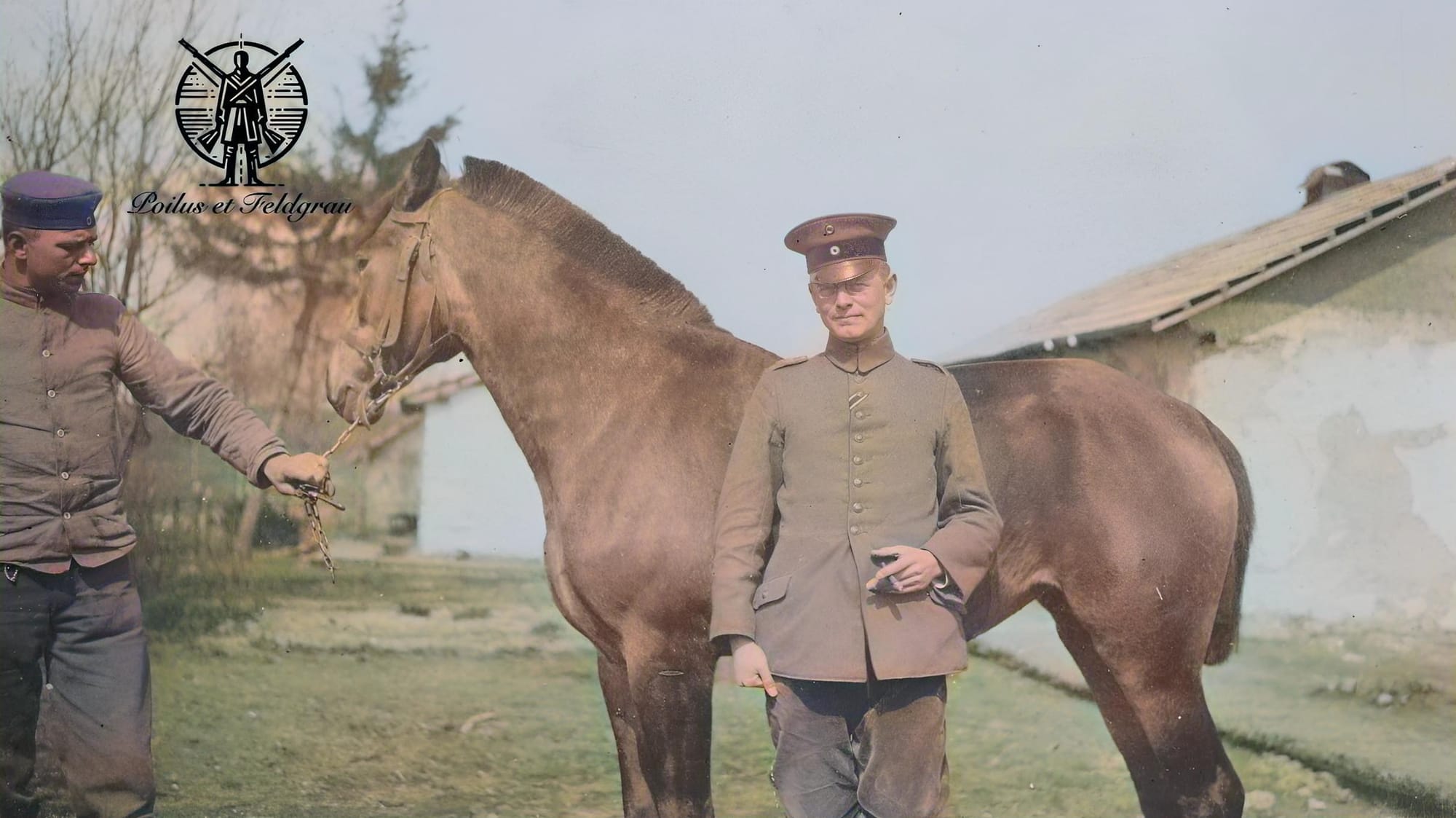 Mon aide Haro Fokken, notre cheval Harnes et moi