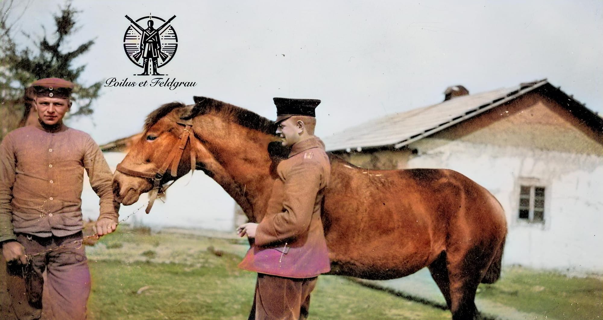 Mon aide Haro Fokken, notre cheval Harnes et moi