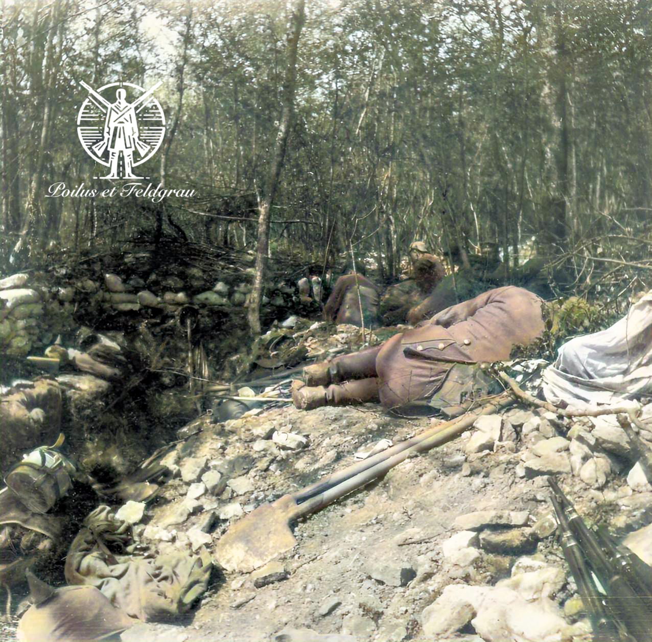 Moment de repos dans la forêt de Tilly (Meuse)