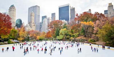 About Central Park image