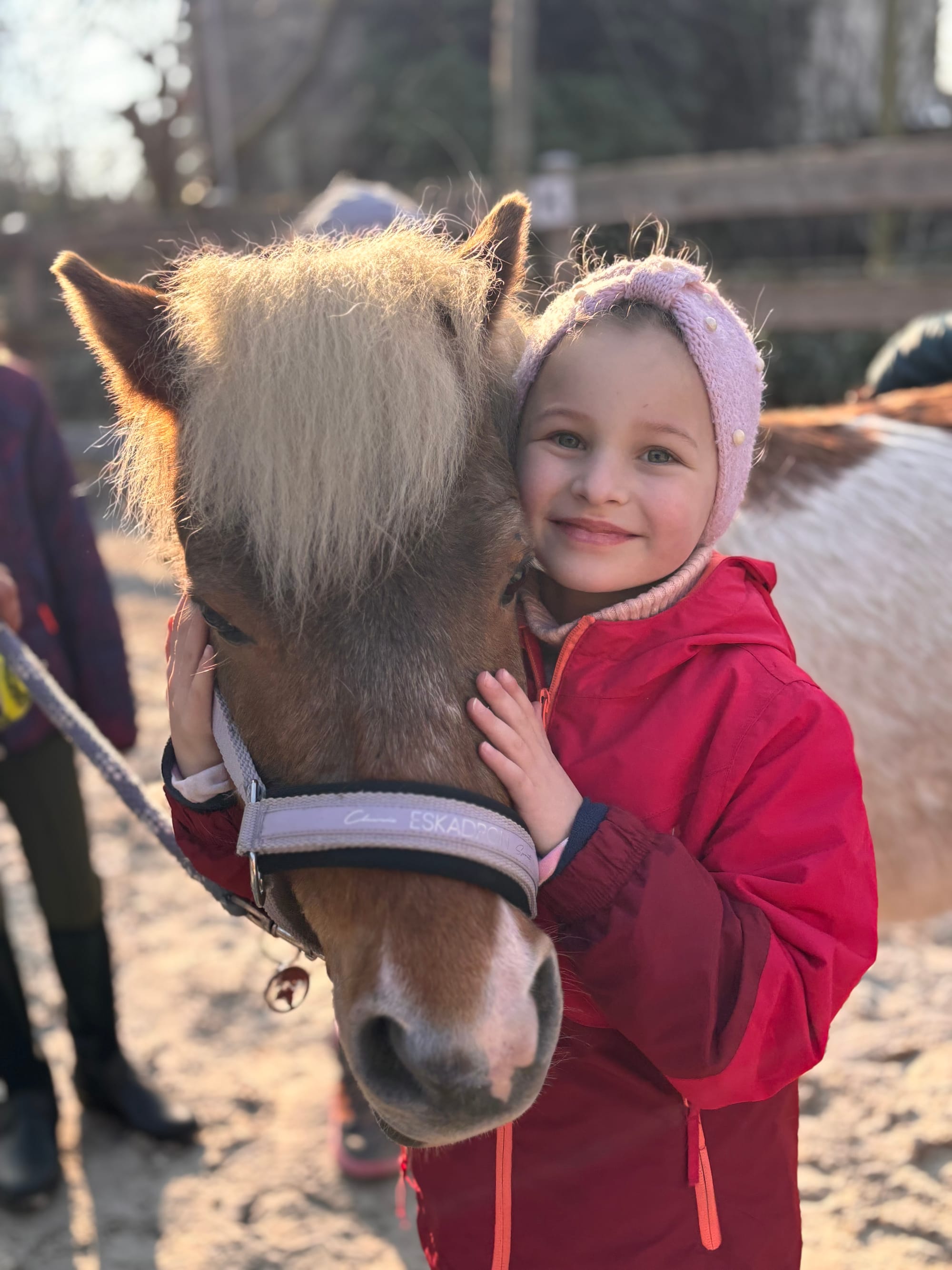 Aufmerksamkeitstraining mit Pony