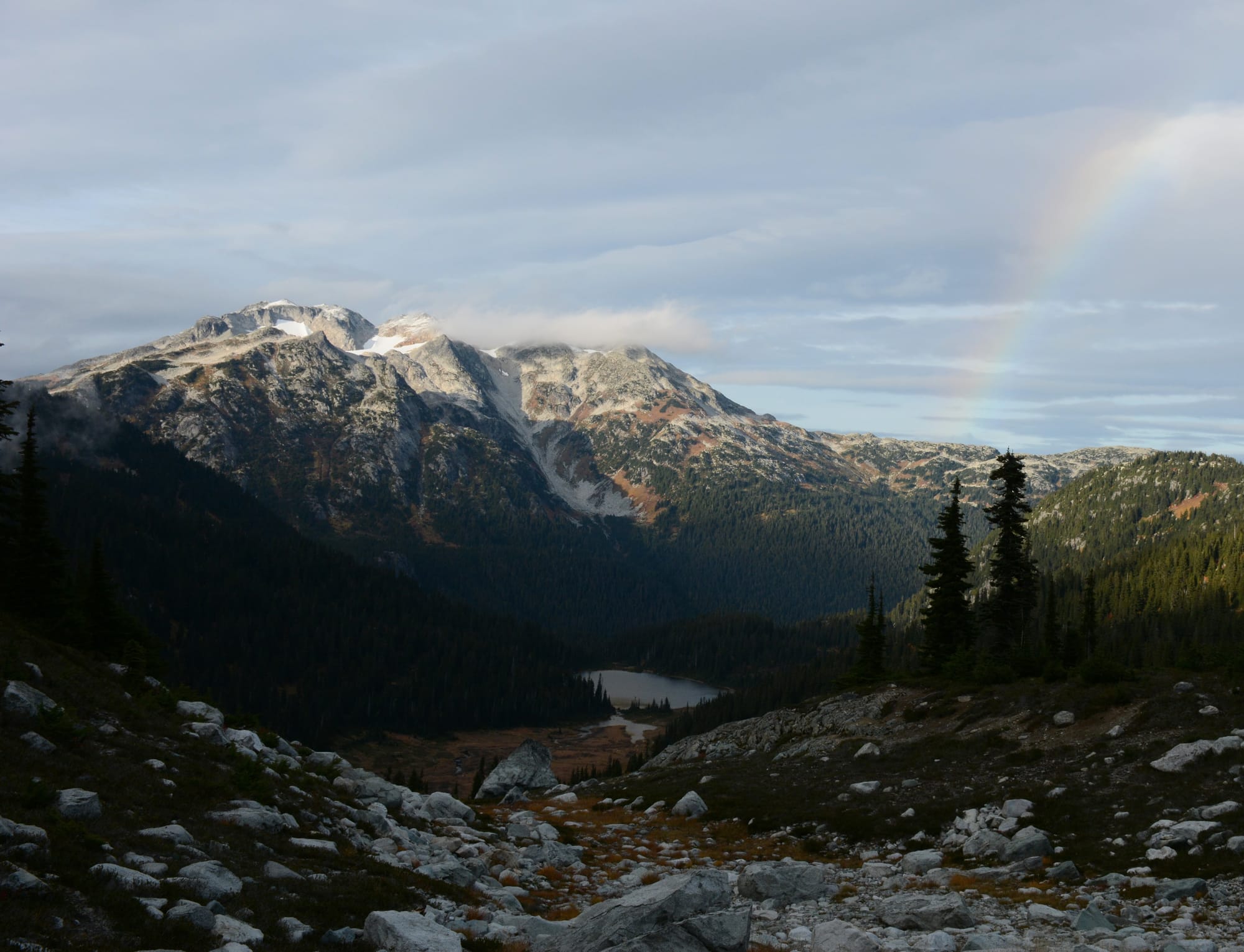 Service Call Price: $100