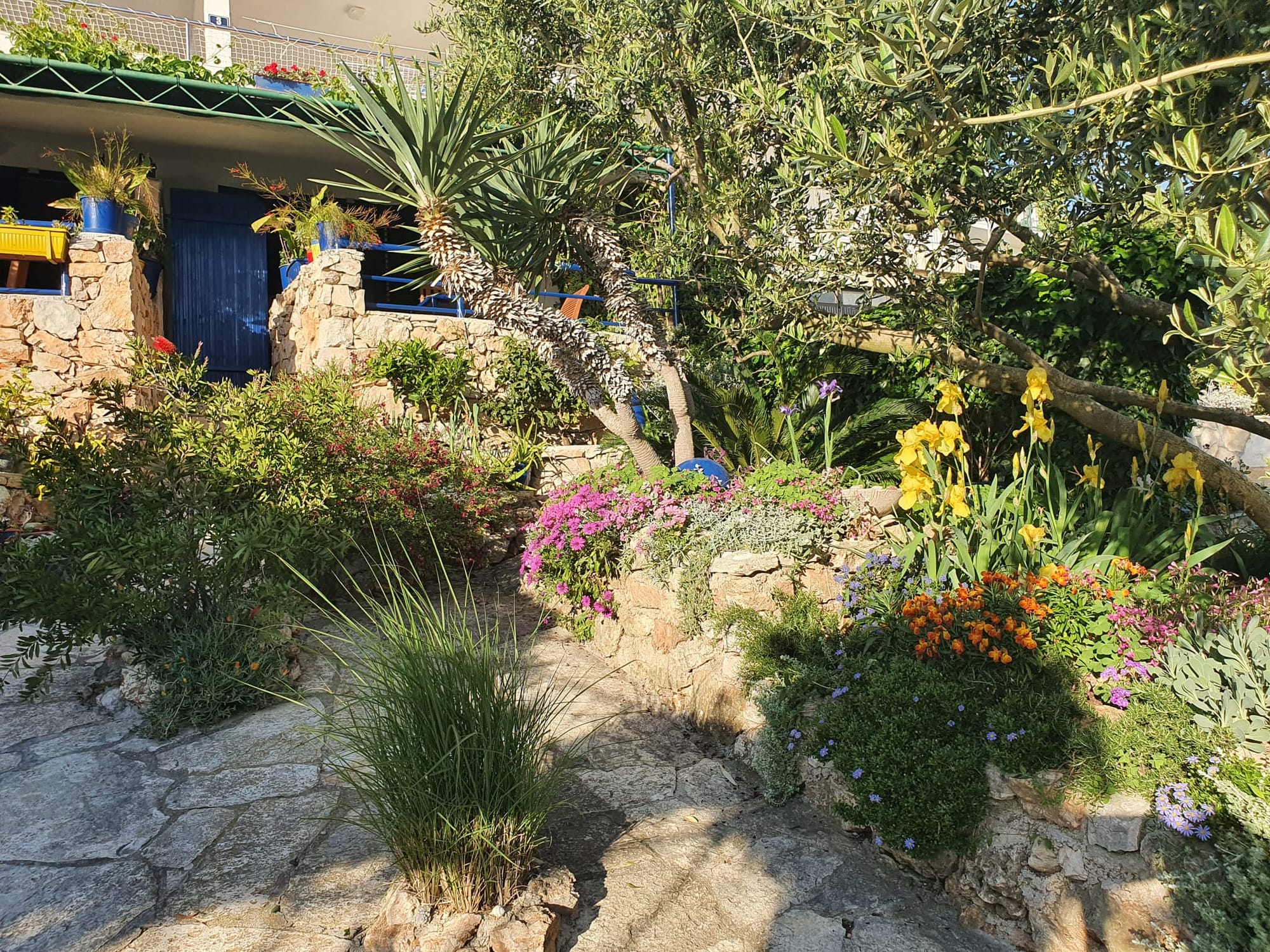 Apartman u prizemlju