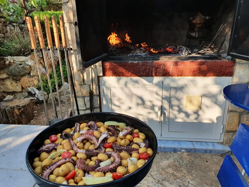 Grill u vrtu iza kuće