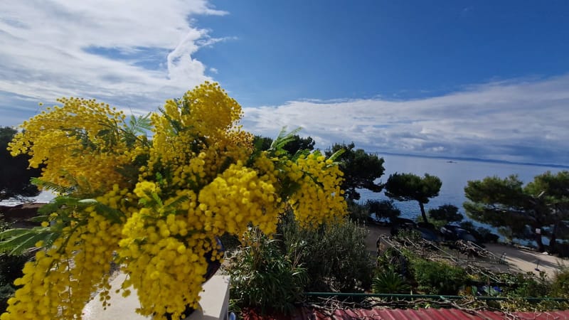 Prekrasna plaža i nezaboravni zalasci sunca