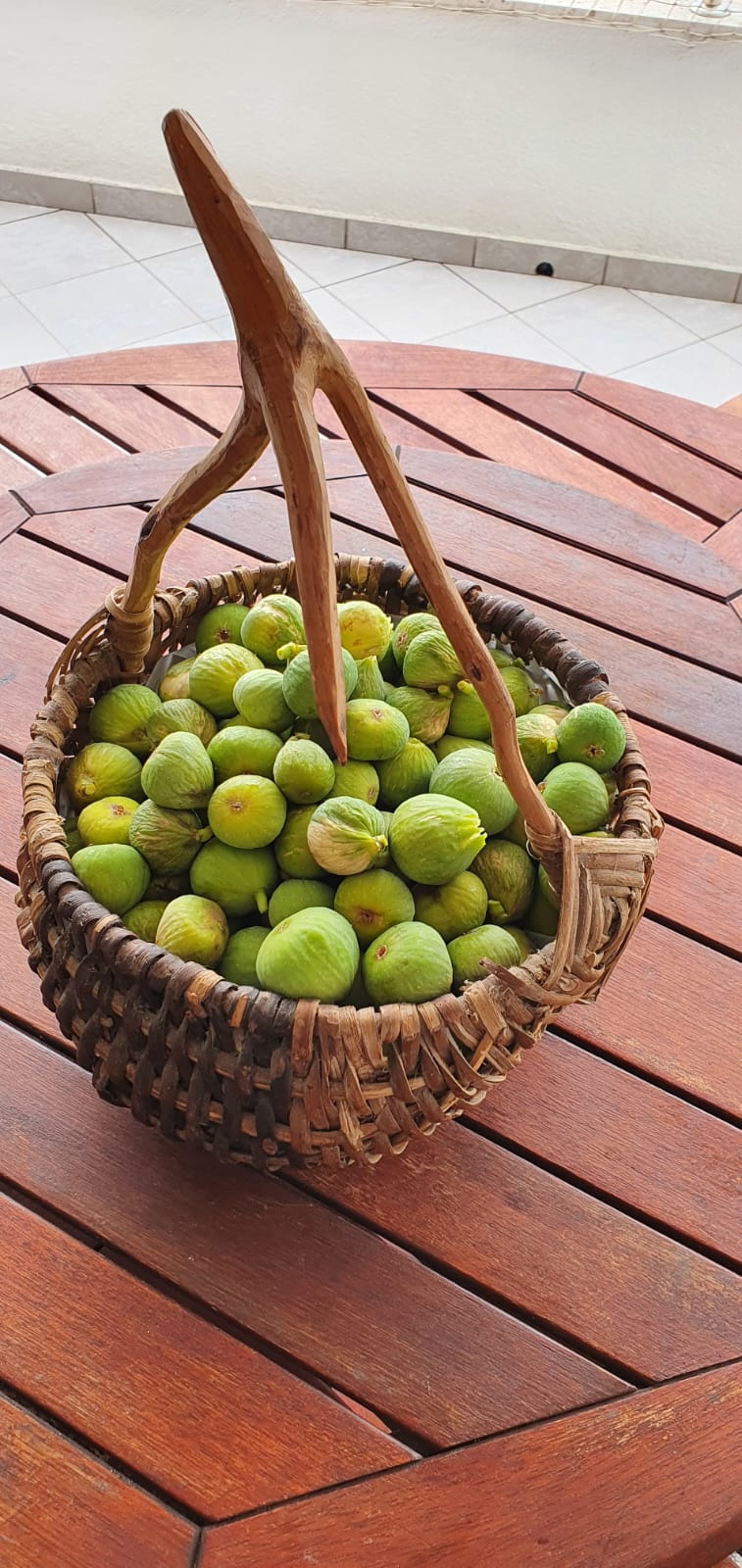 Grill u vrtu iza kuće