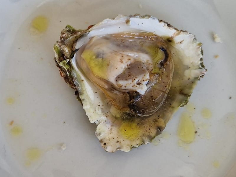 Grill u vrtu iza kuće