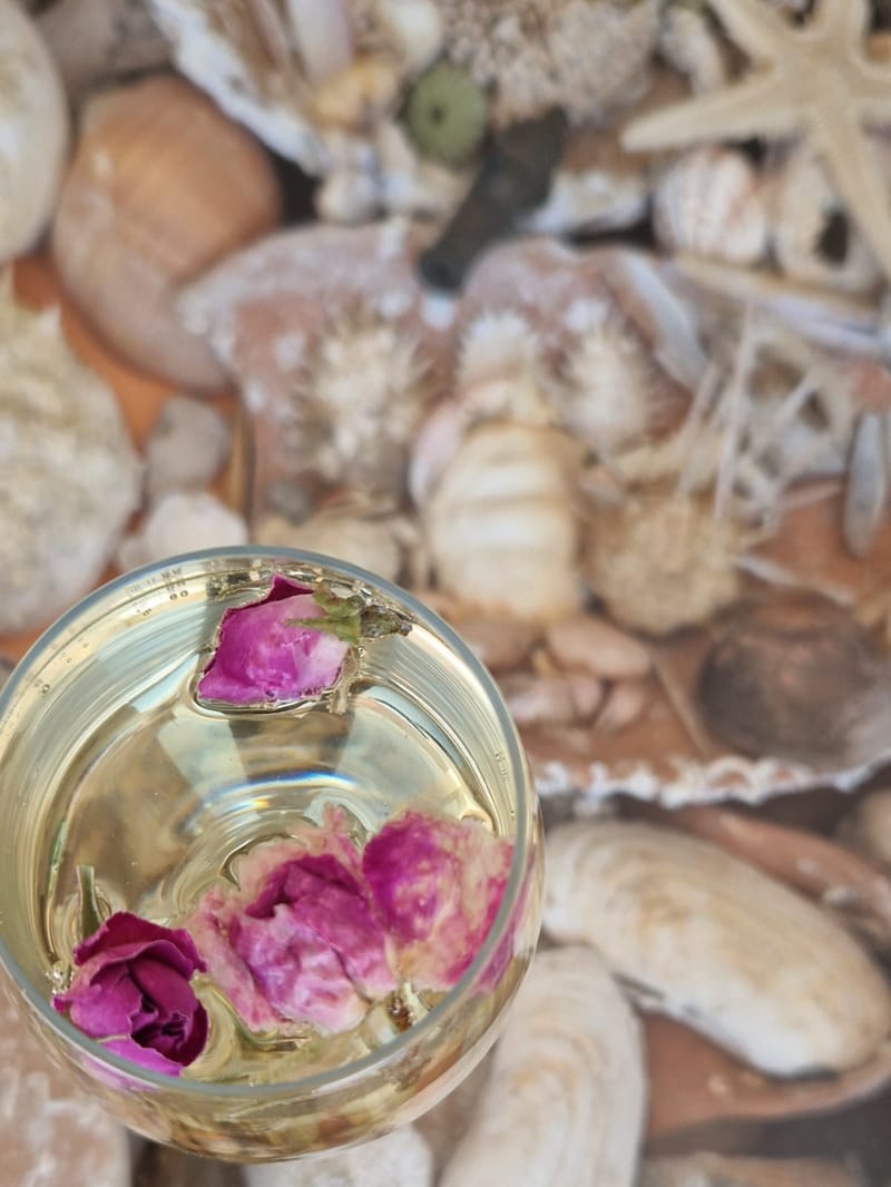 Grill u vrtu iza kuće