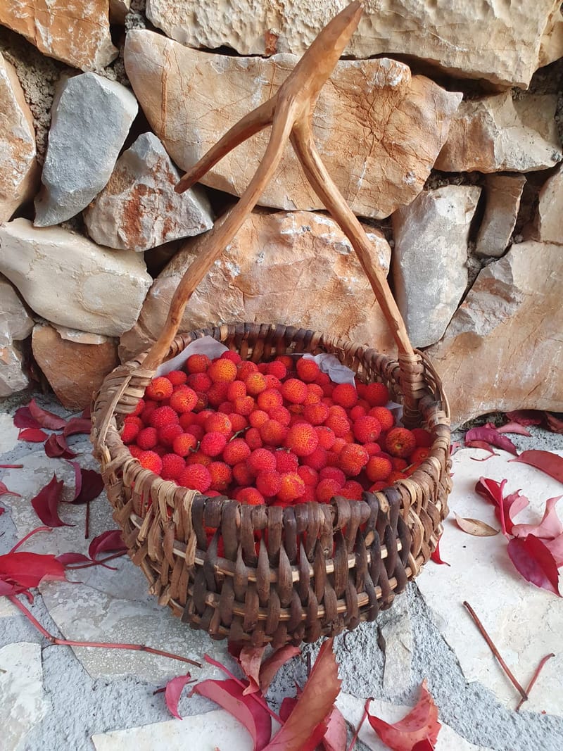 Grill u vrtu iza kuće