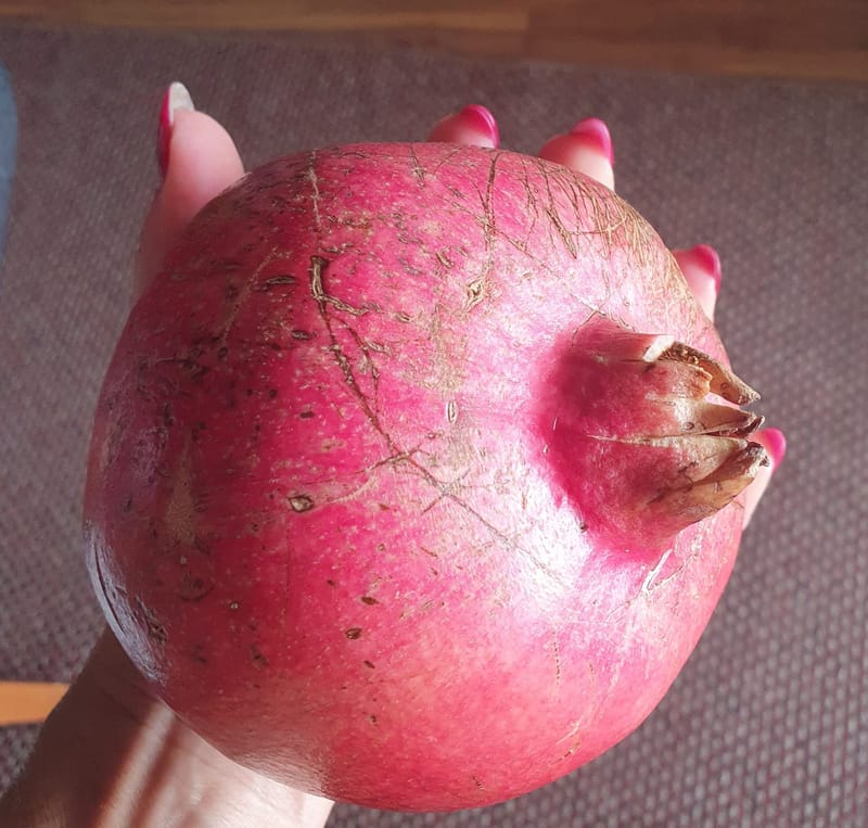 Grill u vrtu iza kuće