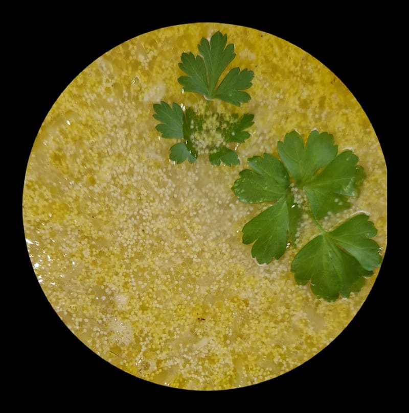 Grill u vrtu iza kuće